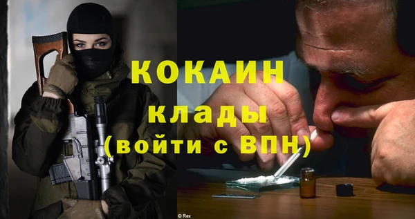 дживик Новозыбков
