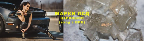 дживик Новозыбков