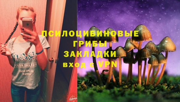 дживик Новозыбков