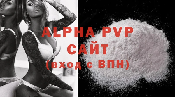 дживик Новозыбков