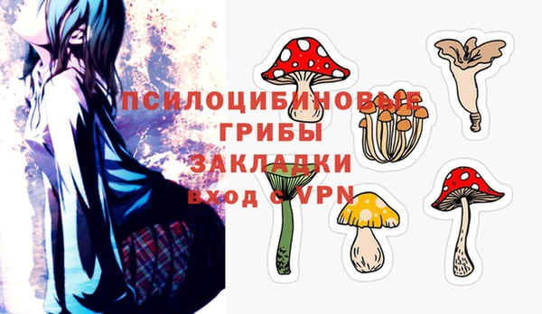 дживик Новозыбков