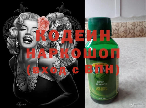 дживик Новозыбков