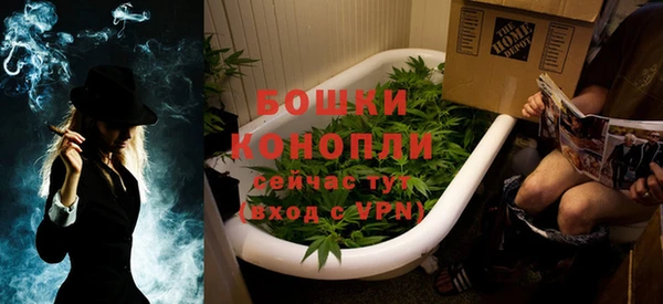 дживик Новозыбков