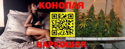 эйфоретик Кингисепп
