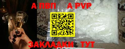 стаф Кинель