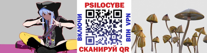Купить закладки  Петрозаводск  Галлюциногенные грибы Psilocybine cubensis 