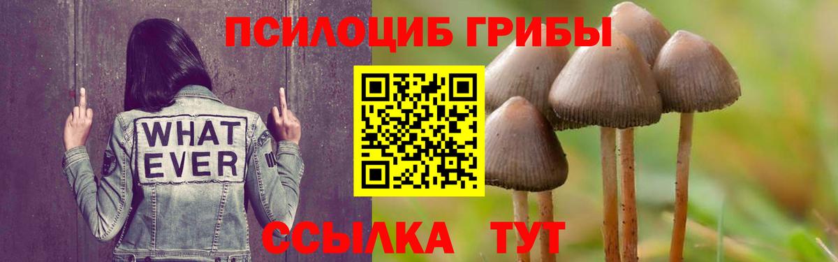 Галлюциногенные грибы мицелий Петрозаводск